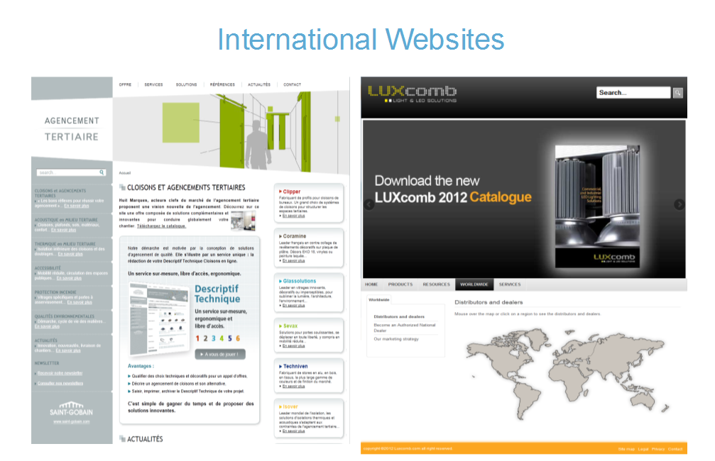 International Website Development